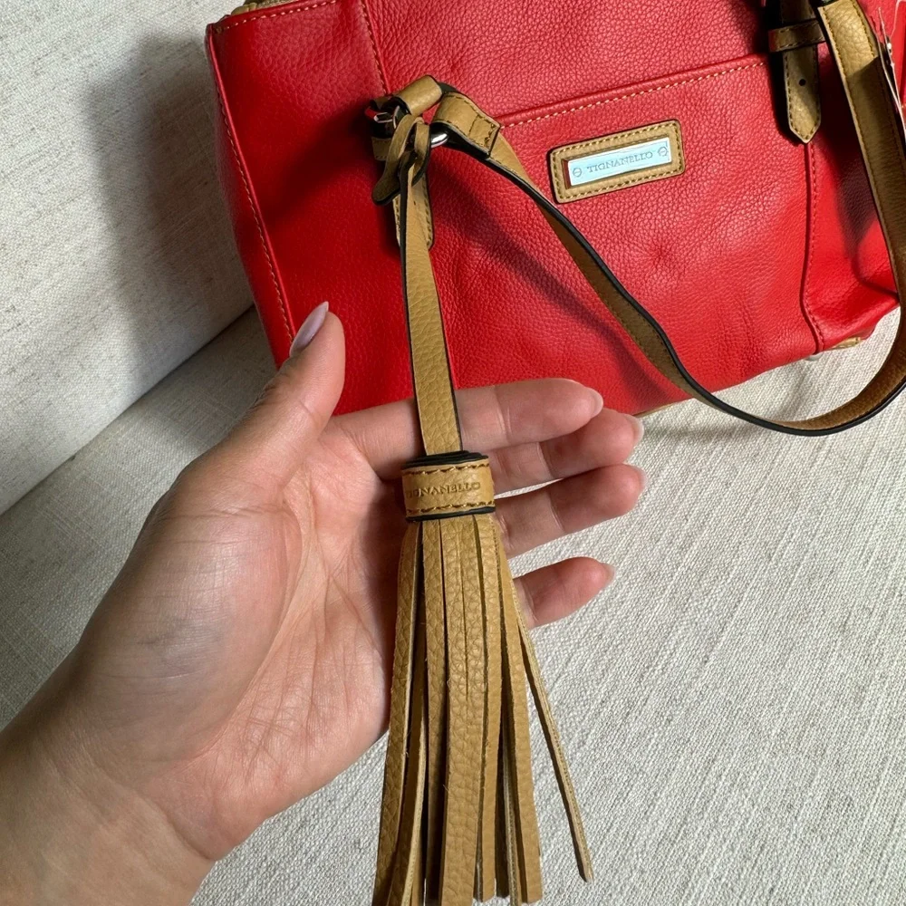 Brand New TIGNANELLO PEBBLE LEATHER‎ Handbag